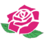 花友-